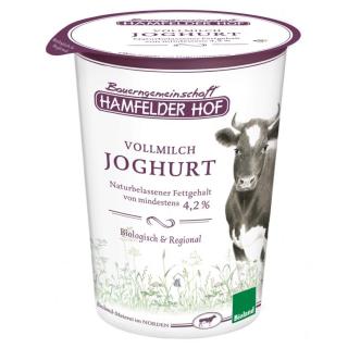 Joghurt Vollmilch natur 4,2 % 500g