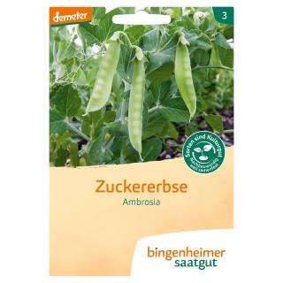 Saatgut Zuckererbse Ambrosia