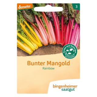 Saatgut Mangold Rainbow