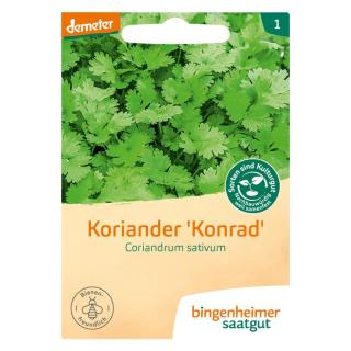 Saatgut Koriander