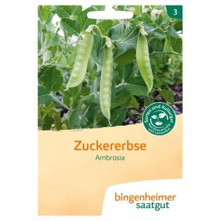 Saatgut Zuckererbse Ambrosia