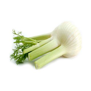Fenchel