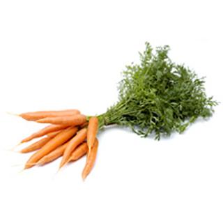 Bundmöhren gelb/Orange