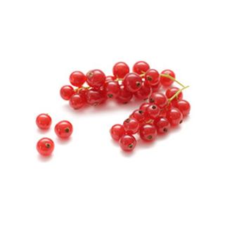 Johannisbeeren rot