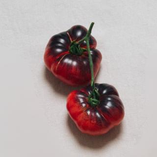 Tomate "Siberian Tiger"