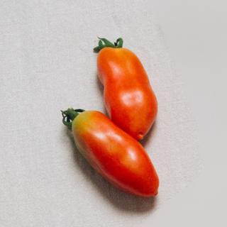Tomate "San Marzano"