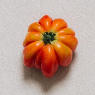 Tomate "Cuor de Bue"