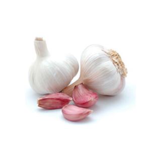 Knoblauch getrocknet