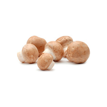 Steinchampignons