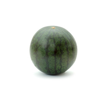 Wassermelone mini