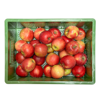 Regionale Apfelkiste 5kg