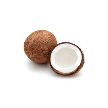 Kokosnuss