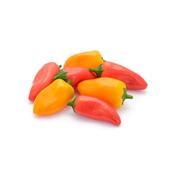 Snackpaprika Sweet (orange, rot, gelb)