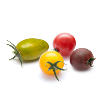Tomatenmix in der Schale