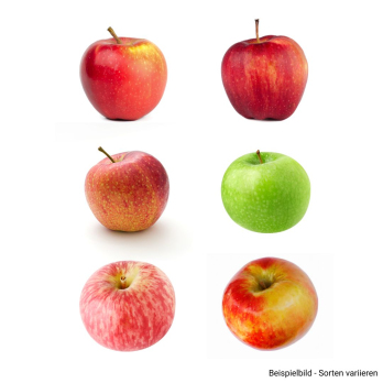 Apfel Probierpaket (ab 08.09.25)