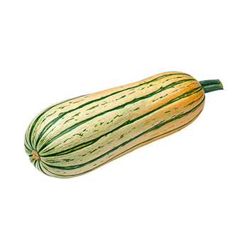 Kürbis Bush Delicata ca. 450g