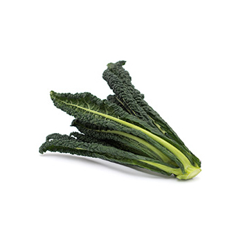 Toskanischer Palmkohl