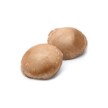 Portobello Champignons groß