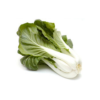 Pak Choi mini