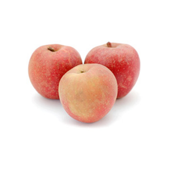 Apfel Boskoop