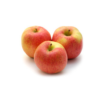 Apfel Collina, neue Ernte