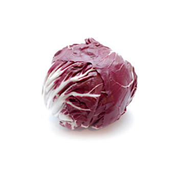 Radicchio