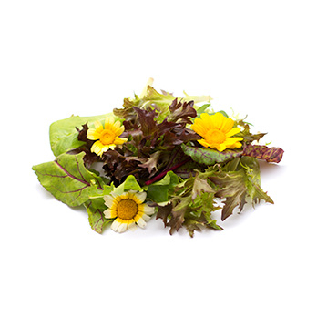 Sommerblütensalat