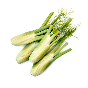 Baby - Fenchel mit grün (ab dem 30.06.2025)