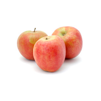 Apfel Holsteiner Cox