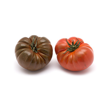 Tomate "Rebellion rot"
