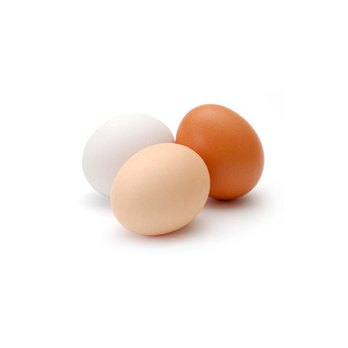 Eier 6 Stück