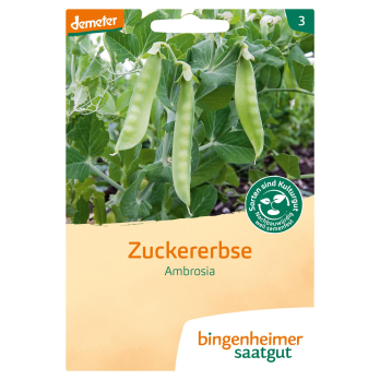 Saatgut Zuckererbse Ambrosia