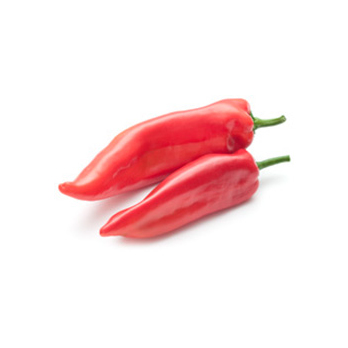 Paprika rot Spitz