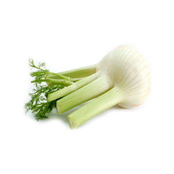 Fenchel