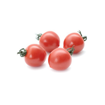 Tomate Ruth