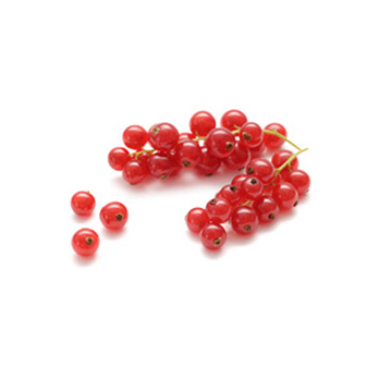 Johannisbeeren rot