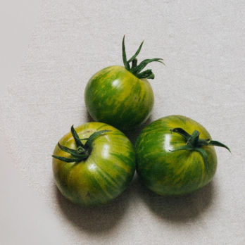 Tomate "Green Zebra"