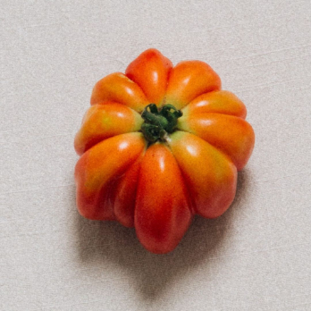 Tomate "Cuor de Bue"