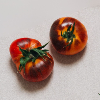 Tomate "Blaue Ananas"