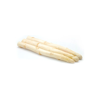 Spargel weiß 16-20mm