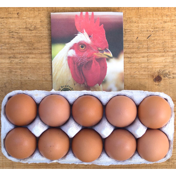Eier 10 Stück (Hof Wurzelreich)