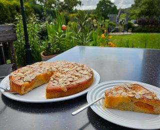 Aprikosenkuchen mit Mandeln, saftig und lecker