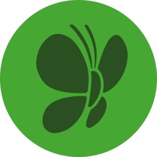 Zucchini mit Pilzfüllung