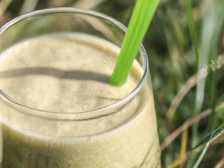 Fenchel Smoothie mit Gerstengras