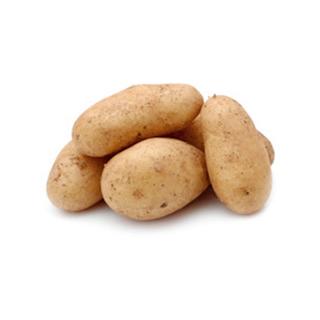 Kartoffel groß Festkochend