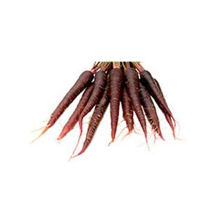 Möhren Purpurne Paula / Ersatz gewaschene Möhren