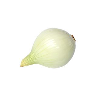 Gemüsezwiebel