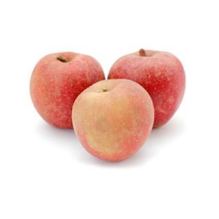 Apfel Boskoop