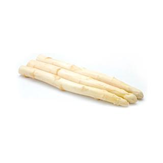 Spargel 18+