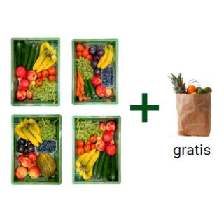 Snackkiste XS 4x + Obsttüte Aktion